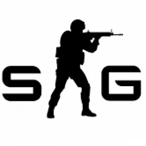 CSGO Recoil Script with automatic gun detection | VIP